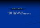 [물리치료] 신경 물리치료 접근법 3페이지