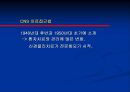 [물리치료] 신경 물리치료 접근법 14페이지