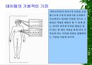 [물리치료] 밸런스 테이핑 요법에 관해 2페이지