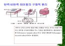 [물리치료] 밸런스 테이핑 요법에 관해 5페이지