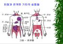 [물리치료] 밸런스 테이핑 요법에 관해 7페이지