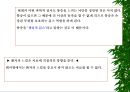 [물리치료] 밸런스 테이핑 요법에 관해 10페이지