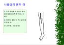 [물리치료] 밸런스 테이핑 요법에 관해 14페이지