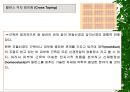 [물리치료] 밸런스 테이핑 요법에 관해 24페이지