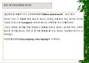 [물리치료] 밸런스 테이핑 요법에 관해 28페이지