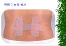 [물리치료] 밸런스 테이핑 요법에 관해 36페이지