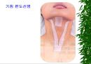 [물리치료] 밸런스 테이핑 요법에 관해 39페이지
