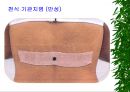 [물리치료] 밸런스 테이핑 요법에 관해 42페이지
