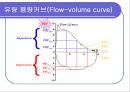 [심폐물리치료] 폐 기능의 검사 9페이지