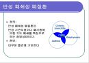 [심폐물리치료] 폐 기능의 검사 15페이지