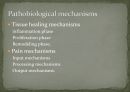 [의학] EBP[EVIDENCE BASED PHYSICAL] THERAPY에 관해 8페이지