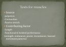 [의학] EBP[EVIDENCE BASED PHYSICAL] THERAPY에 관해 14페이지