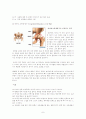 [의학] 고관절 전치술, 슬관절 전치술 -THR [Total Hip Replacement], TKR[Total Knee Replacement] 8페이지