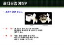 [의학] 골다공증[OSTEOPOROSIS]에 관해 3페이지
