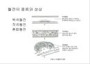 [의학] 순환기계 - 순환장애에 관해 24페이지