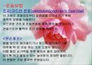 [의학] 오십견[frozen shoulder]에 관해 13페이지