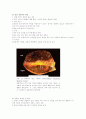 [의학] 외상성 뇌손상에 관해서 10페이지
