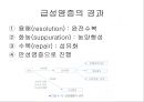 [의학] 염증과 수복 19페이지
