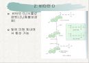 [의학] 지용성 비타민에 관해 8페이지