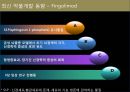 뇌졸중 전반조사 (해부/병태생리/약물/치료개발동향).ppt 20페이지
