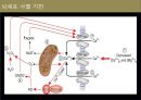뇌졸중 전반조사 (해부/병태생리/약물/치료개발동향).ppt 28페이지