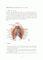 폐엽절제술(lung lobectomy)과 수술 후 간호 3페이지