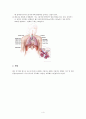 폐엽절제술(lung lobectomy)과 수술 후 간호 4페이지