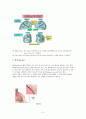 폐엽절제술(lung lobectomy)과 수술 후 간호 5페이지