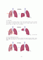 폐엽절제술(lung lobectomy)과 수술 후 간호 20페이지