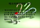 레크레이션 (레크리에이션/Recreation).ppt 5페이지