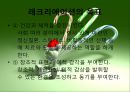 레크레이션 (레크리에이션/Recreation).ppt 7페이지