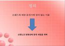 에뛰드하우스 레네이밍 (Etude House Renameing) (화장품, 에뛰드, 시장조사, 3C분석, Target, SWOT, 포지셔닝 맵, 네임).PPT자료 6페이지