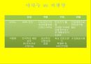 비첸향기업분석,비첸향마케팅전략,비첸향시장분석,육포시장 15페이지