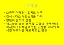비첸향기업분석,비첸향마케팅전략,비첸향시장분석,육포시장 19페이지