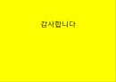 비첸향기업분석,비첸향마케팅전략,비첸향시장분석,육포시장 21페이지
