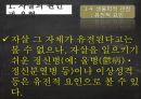 사회윤리학,자살 11페이지