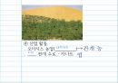 [세계지리(선생님용)] Ⅱ. 자연 환경과 인간 생활 (2) 기후와 인간 생활 .ppt 37페이지