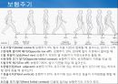 정상보행분석 5페이지