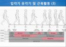 정상보행분석 10페이지