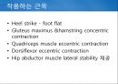 정상보행분석 14페이지