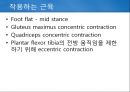 정상보행분석 16페이지