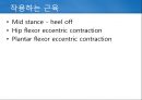 정상보행분석 18페이지