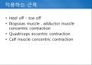 정상보행분석 20페이지