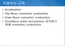정상보행분석 23페이지