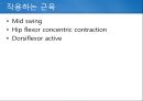 정상보행분석 25페이지