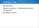 정상보행분석 27페이지