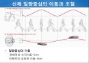 정상보행분석 30페이지