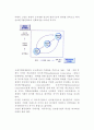 [기업의 국제화] 기업의 국제화 동기, 기업의 해외진출 형태, 기업의 국제화과정 5페이지