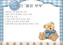 대디베어 패키지 13페이지