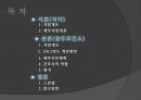 국가암보건사업 2페이지